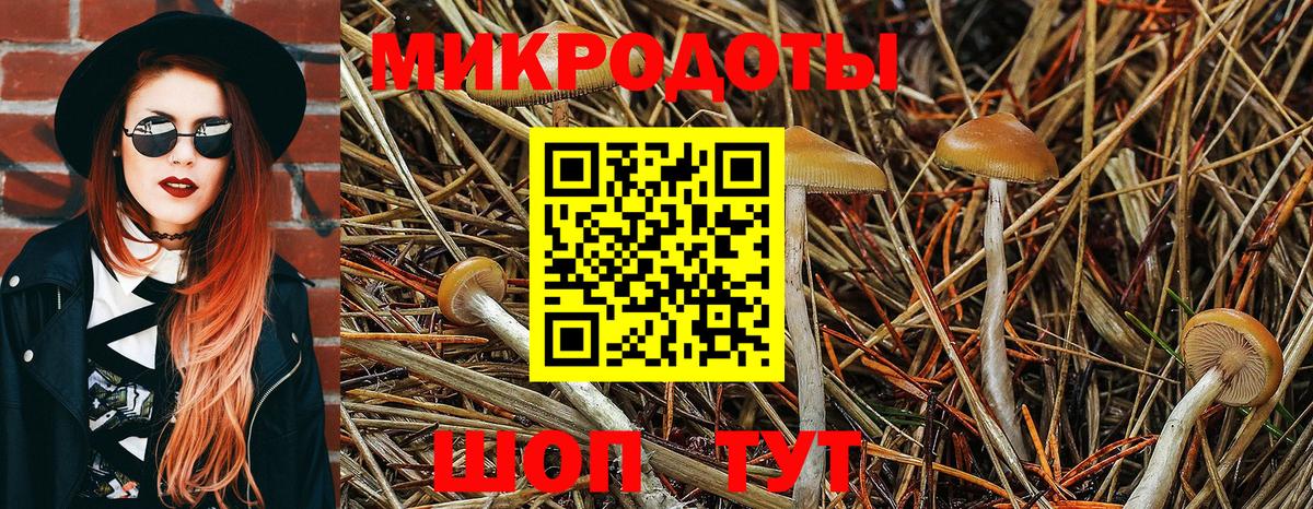 Псилоцибиновые грибы прущие грибы  Вход с VPN  Москва  Псилоцибиновые грибы Psilocybe 