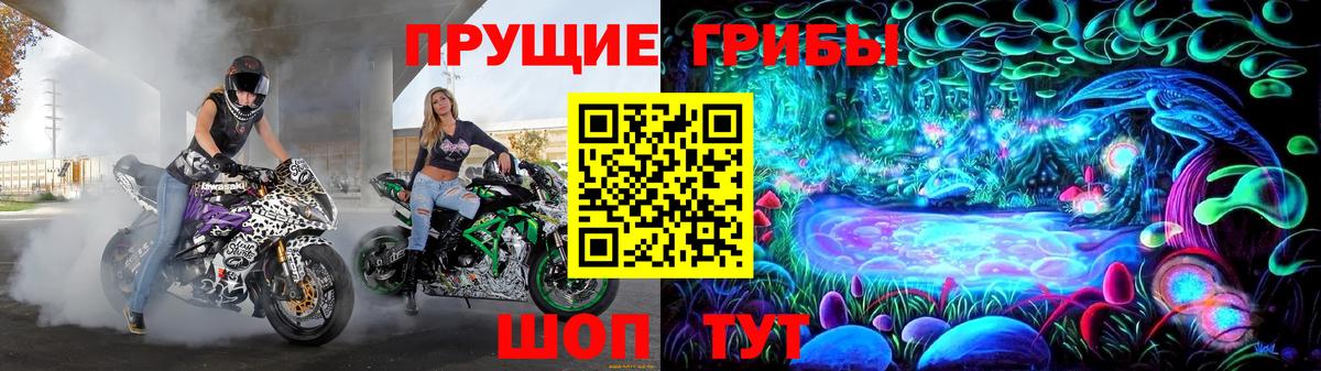 Псилоцибиновые грибы прущие грибы Москва